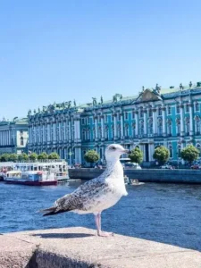 ermitaz zgrada spolja 