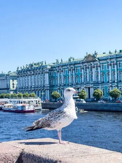 ermitaz zgrada spolja 