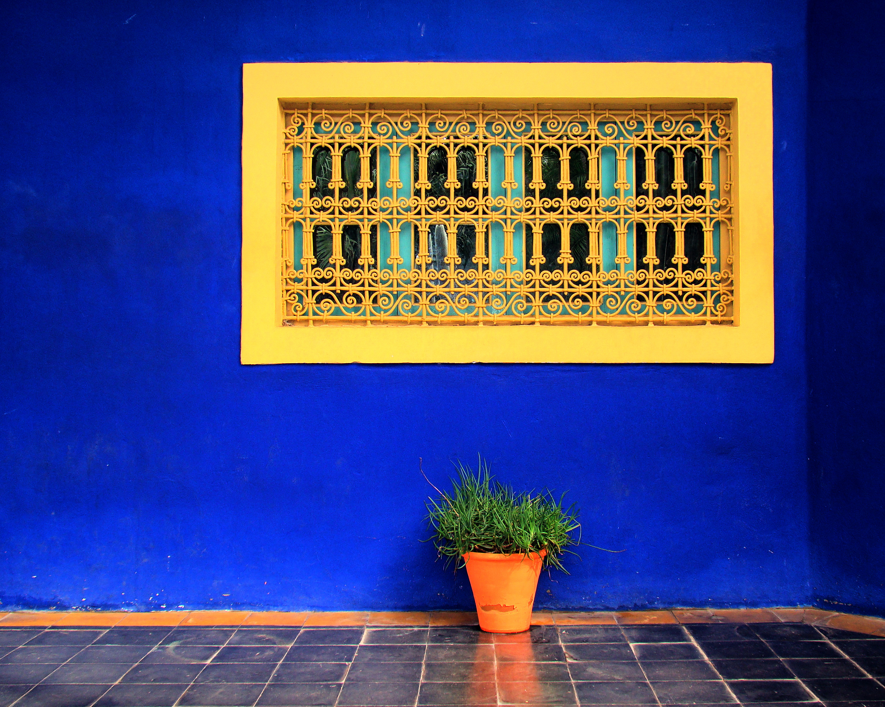 Marrakech_Majorelle_Garden_2011