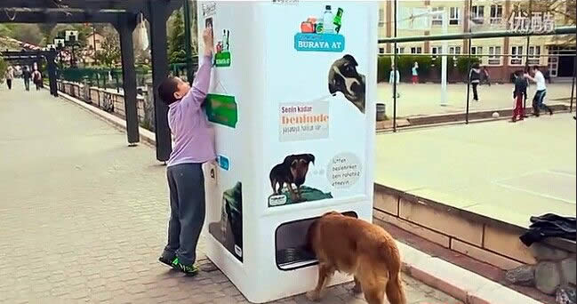 Automat koji hrani napuštene pse