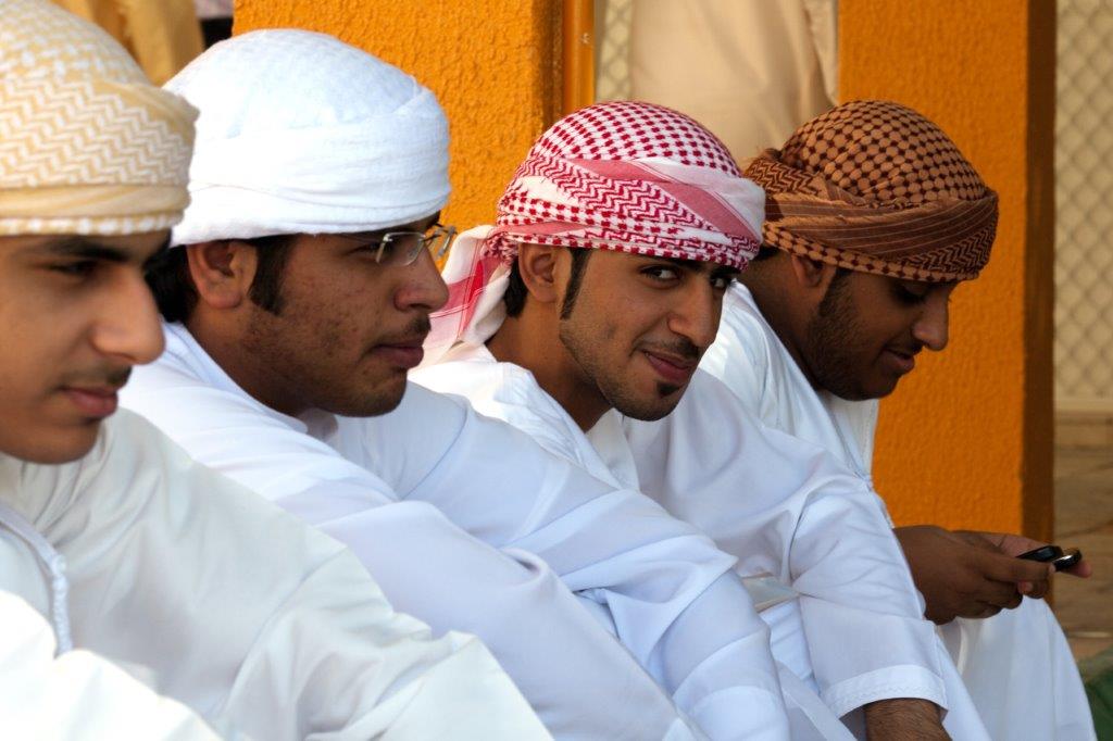 vlada ujedinjenih arapskih emirata