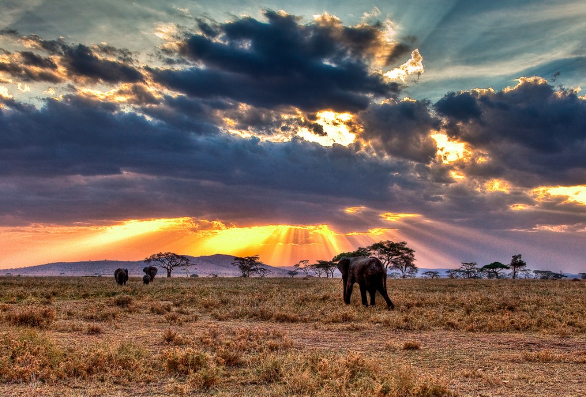 Serengeti nacionalni park