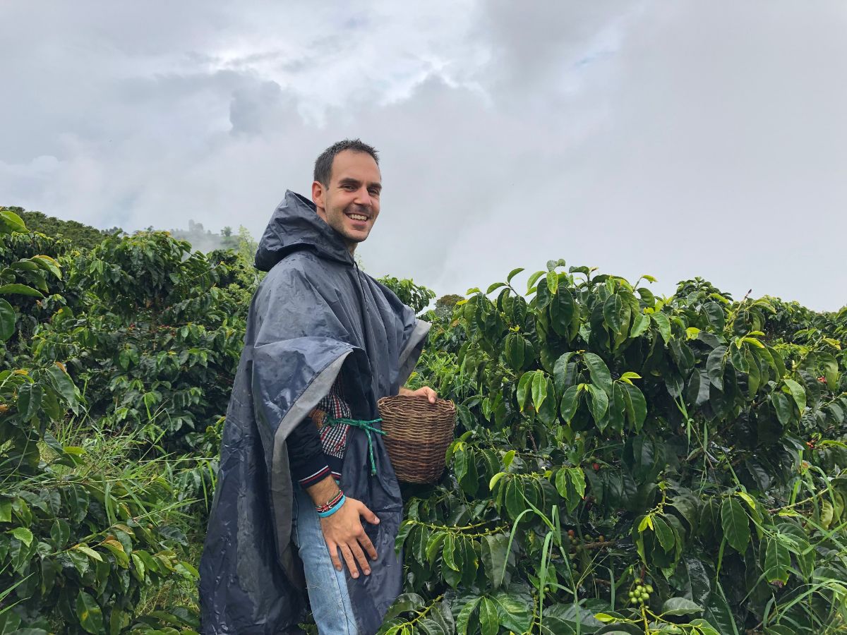 Plantaža kafe u Kolumbiji