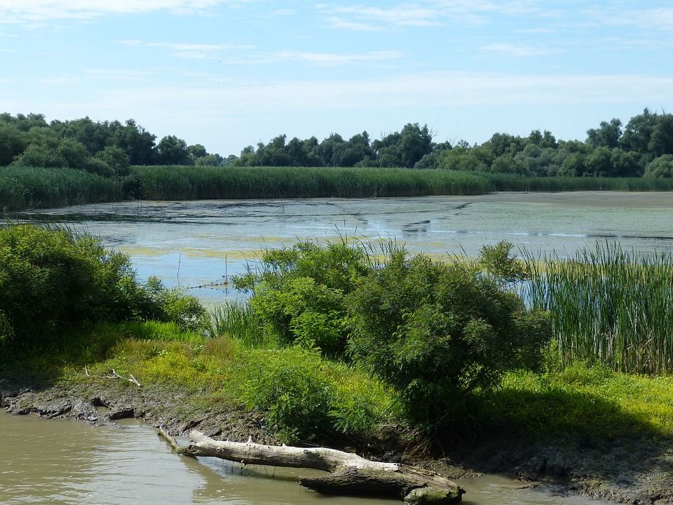 Delta Dunava šta vidjeti u Rumuniji