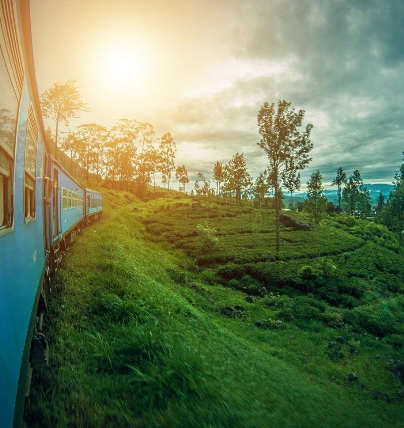 Voz u Šri Lanci