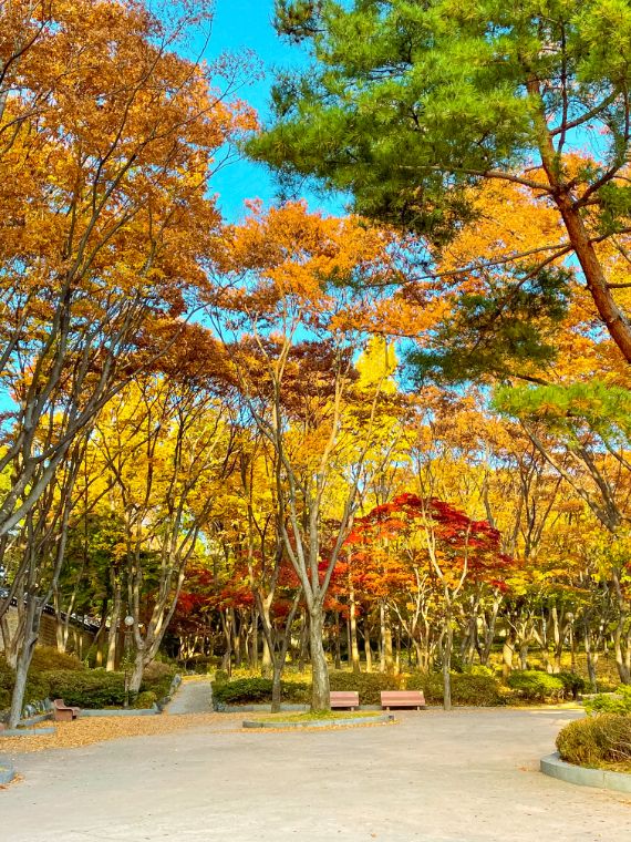Park u Seulu