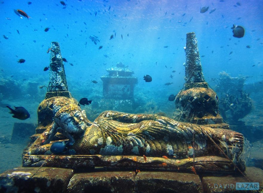 6-David-Lazar-Bali-Diving-1__880